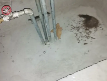 赣榆卫生间测漏水价格明细