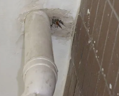 赣榆漏水检测哪家好